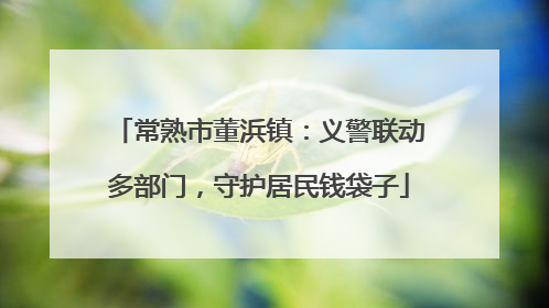 常熟市董浜镇：义警联动多部门，守护居民钱袋子
